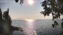 ./images/koeye/fitz-hugh/20250901/fitz-hugh20250901_170509M.jpg