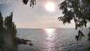 ./images/koeye/fitz-hugh/20250901/fitz-hugh20250901_174011M.jpg