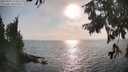 ./images/koeye/fitz-hugh/20250901/fitz-hugh20250901_174511M.jpg