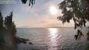 ./images/koeye/fitz-hugh/20250901/fitz-hugh20250901_180013M.jpg