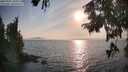./images/koeye/fitz-hugh/20250901/fitz-hugh20250901_181011M.jpg