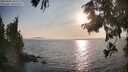 ./images/koeye/fitz-hugh/20250901/fitz-hugh20250901_182011M.jpg