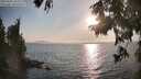 ./images/koeye/fitz-hugh/20250901/fitz-hugh20250901_182510M.jpg