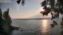 ./images/koeye/fitz-hugh/20250901/fitz-hugh20250901_185510M.jpg