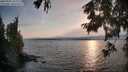 ./images/koeye/fitz-hugh/20250901/fitz-hugh20250901_190009M.jpg