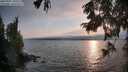 ./images/koeye/fitz-hugh/20250901/fitz-hugh20250901_190509M.jpg