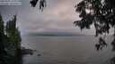 ./images/koeye/fitz-hugh/20250901/fitz-hugh20250901_195009M.jpg