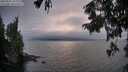 ./images/koeye/fitz-hugh/20250901/fitz-hugh20250901_195508M.jpg