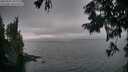 ./images/koeye/fitz-hugh/20250901/fitz-hugh20250901_202008M.jpg