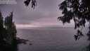 ./images/koeye/fitz-hugh/20250901/fitz-hugh20250901_203009M.jpg