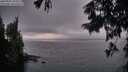 ./images/koeye/fitz-hugh/20250901/fitz-hugh20250901_203508M.jpg