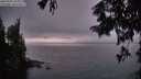 ./images/koeye/fitz-hugh/20250901/fitz-hugh20250901_204009M.jpg