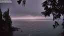 ./images/koeye/fitz-hugh/20250901/fitz-hugh20250901_204508M.jpg