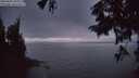 ./images/koeye/fitz-hugh/20250901/fitz-hugh20250901_205009M.jpg