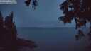 ./images/koeye/fitz-hugh/20250902/fitz-hugh20250902_061011M.jpg