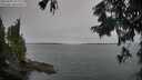 ./images/koeye/fitz-hugh/20250902/fitz-hugh20250902_072011M.jpg