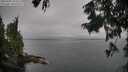 ./images/koeye/fitz-hugh/20250902/fitz-hugh20250902_102510M.jpg