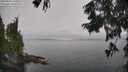 ./images/koeye/fitz-hugh/20250902/fitz-hugh20250902_111009M.jpg