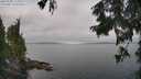 ./images/koeye/fitz-hugh/20250902/fitz-hugh20250902_114510M.jpg