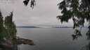 ./images/koeye/fitz-hugh/20250902/fitz-hugh20250902_125509M.jpg