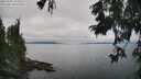 ./images/koeye/fitz-hugh/20250902/fitz-hugh20250902_134509M.jpg