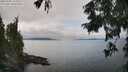 ./images/koeye/fitz-hugh/20250902/fitz-hugh20250902_135010M.jpg