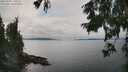 ./images/koeye/fitz-hugh/20250902/fitz-hugh20250902_141010M.jpg