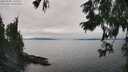 ./images/koeye/fitz-hugh/20250902/fitz-hugh20250902_145511M.jpg