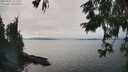 ./images/koeye/fitz-hugh/20250902/fitz-hugh20250902_151511M.jpg