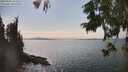 ./images/koeye/fitz-hugh/20250902/fitz-hugh20250902_154511M.jpg