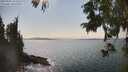 ./images/koeye/fitz-hugh/20250902/fitz-hugh20250902_155509M.jpg