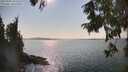 ./images/koeye/fitz-hugh/20250902/fitz-hugh20250902_161511M.jpg