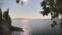 ./images/koeye/fitz-hugh/20250902/fitz-hugh20250902_162010M.jpg