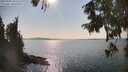 ./images/koeye/fitz-hugh/20250902/fitz-hugh20250902_162509M.jpg