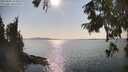 ./images/koeye/fitz-hugh/20250902/fitz-hugh20250902_164009M.jpg