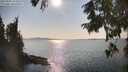 ./images/koeye/fitz-hugh/20250902/fitz-hugh20250902_164510M.jpg