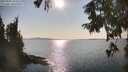 ./images/koeye/fitz-hugh/20250902/fitz-hugh20250902_165510M.jpg