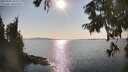 ./images/koeye/fitz-hugh/20250902/fitz-hugh20250902_170012M.jpg