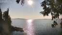./images/koeye/fitz-hugh/20250902/fitz-hugh20250902_170510M.jpg