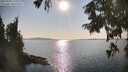./images/koeye/fitz-hugh/20250902/fitz-hugh20250902_171010M.jpg