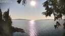 ./images/koeye/fitz-hugh/20250902/fitz-hugh20250902_171510M.jpg
