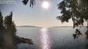 ./images/koeye/fitz-hugh/20250902/fitz-hugh20250902_172011M.jpg