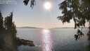 ./images/koeye/fitz-hugh/20250902/fitz-hugh20250902_172510M.jpg