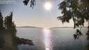 ./images/koeye/fitz-hugh/20250902/fitz-hugh20250902_173012M.jpg