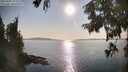 ./images/koeye/fitz-hugh/20250902/fitz-hugh20250902_173509M.jpg