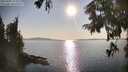 ./images/koeye/fitz-hugh/20250902/fitz-hugh20250902_174010M.jpg