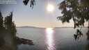 ./images/koeye/fitz-hugh/20250902/fitz-hugh20250902_174512M.jpg