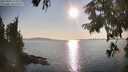 ./images/koeye/fitz-hugh/20250902/fitz-hugh20250902_175010M.jpg
