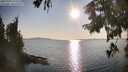 ./images/koeye/fitz-hugh/20250902/fitz-hugh20250902_175509M.jpg