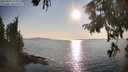 ./images/koeye/fitz-hugh/20250902/fitz-hugh20250902_180013M.jpg